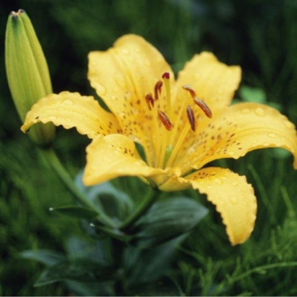 I'm featured today - Picture 11 of 15